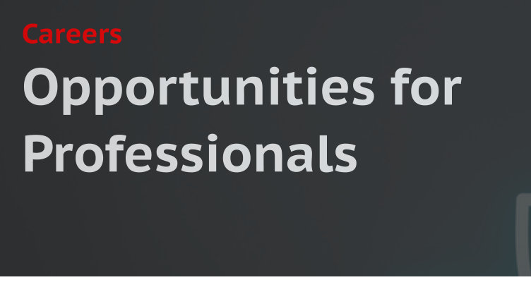Opportunities for Professionals Careers